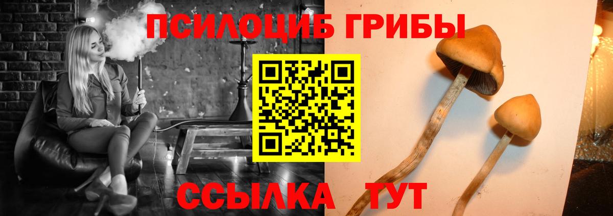Семилуки  где купить наркотик  Вход с VPN  Псилоцибиновые грибы Magic Shrooms 